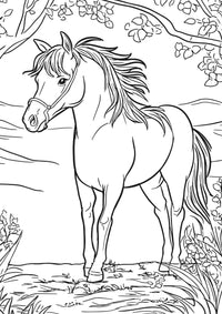 Nova Toys Farm Friends XXL Coloring Book