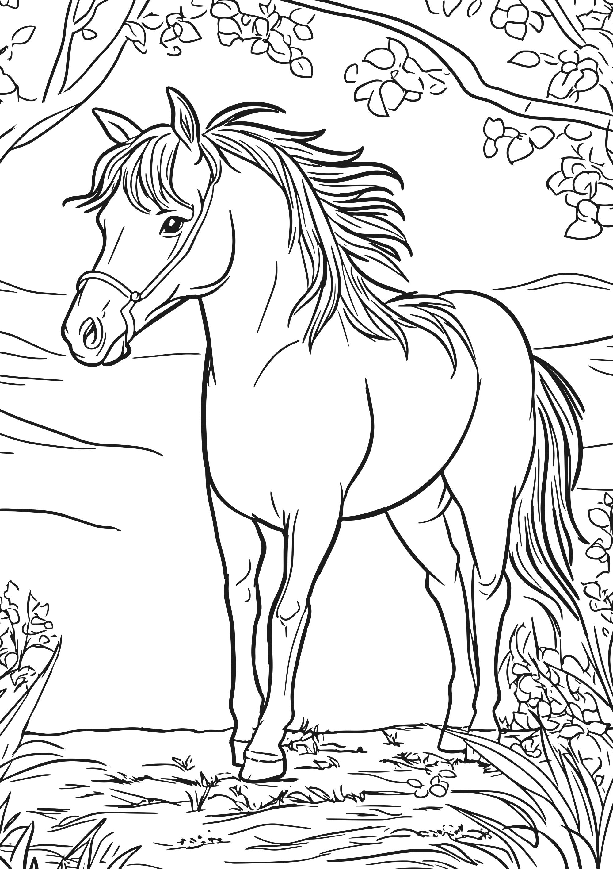 Nova Toys Farm Friends XXL Coloring Book