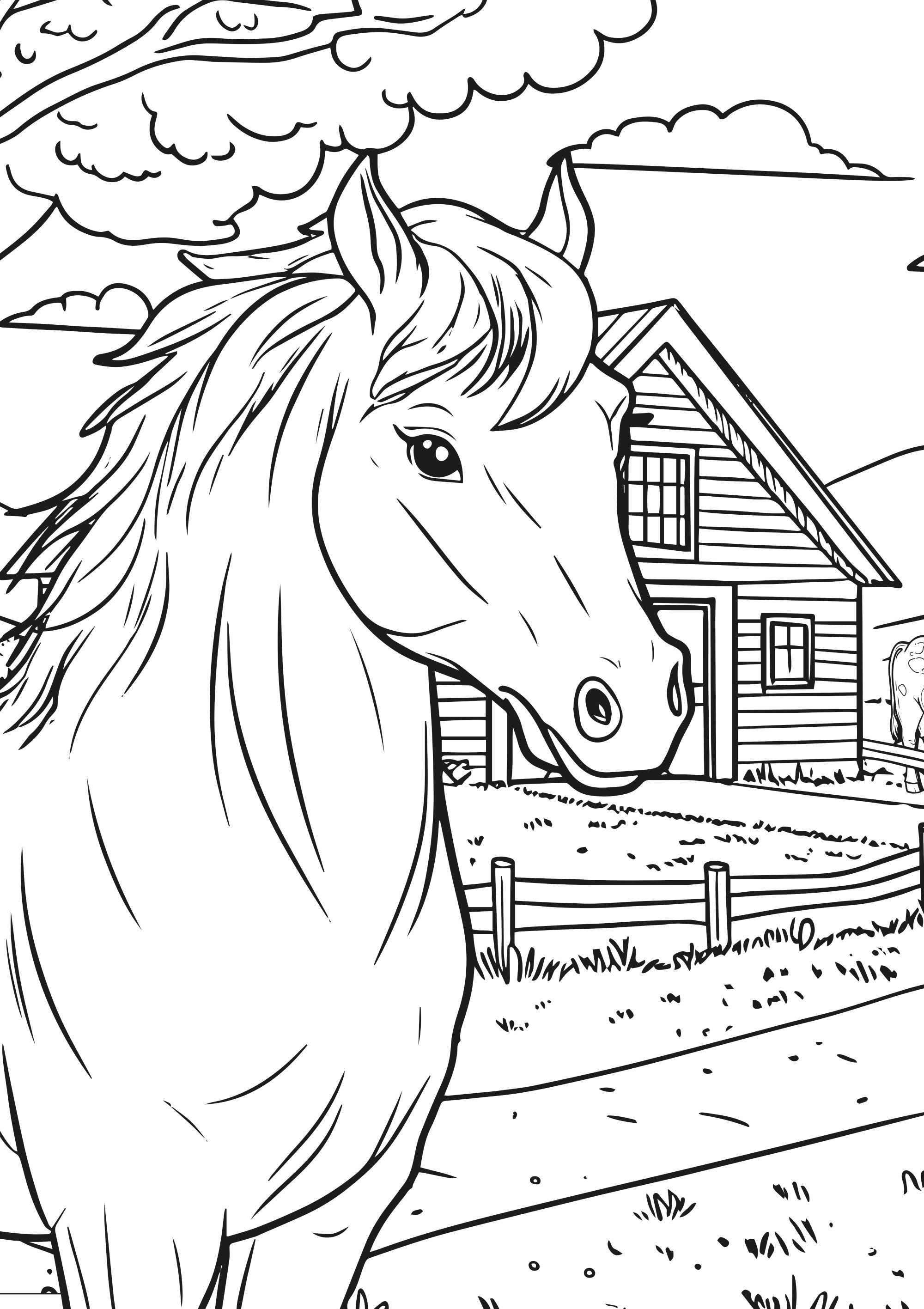 Nova Toys Farm Friends XXL Coloring Book