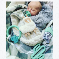 Itzy Ritzy Ritzy Rattle™ Silicone Teether Rattles