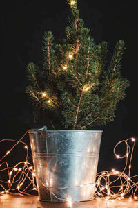 DM Merchandising - Lumin Essence Copper Wire Mini Lights