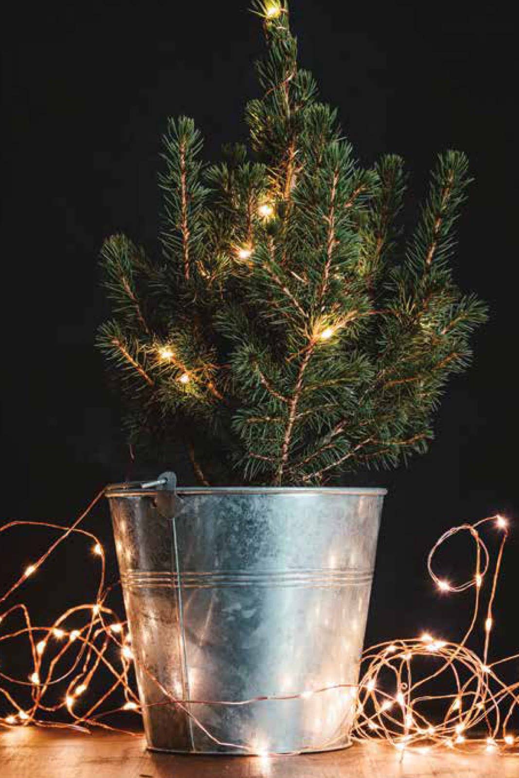 DM Merchandising - Lumin Essence Copper Wire Mini Lights