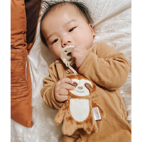 Itzy Ritzy - Sweetie Pal™ Plush & Pacifier