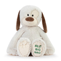 Demdaco Best Big Brother Plush Dog 16"