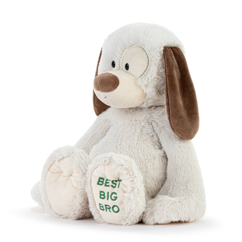 Demdaco Best Big Brother Plush Dog 16"