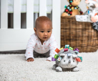 Mary Meyer Taggies Heather Hedgehog Soft Toy