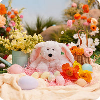 Warmies: America’s Favorite Microwave Plush Brand - Pink Bunny Warmies