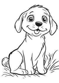 Nova Toys LLC - Farm Friends - XXL Coloring Book