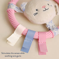 Itzy Ritzy Itzy Ring Pal™ Teething Ring with Plush Character