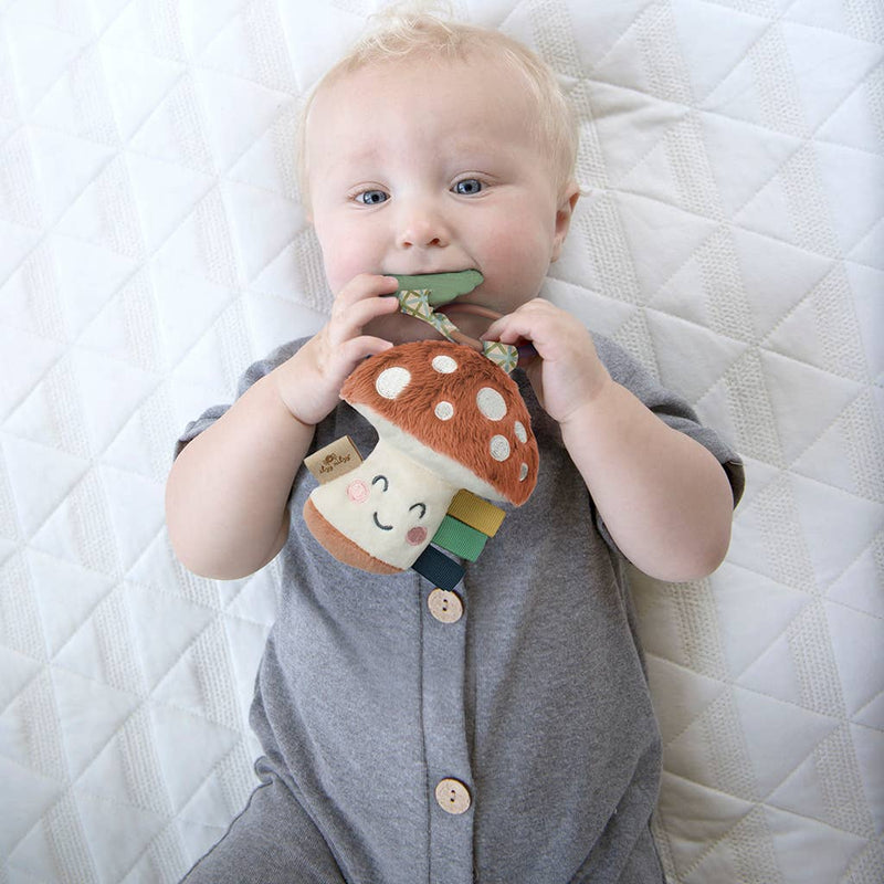 Itzy Ritzy Itzy Pal Plush + Teether Mushroom