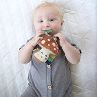 Itzy Ritzy - Itzy Pal™ Plush + Teether
