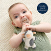Itzy Ritzy Bitzy Pal Natural Rubber Pacifier & Plush