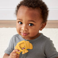 Itzy Ritzy Sweetie Shake Plus Teething + Rattle Toy