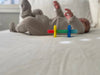 Itzy Ritzy Teensy Tubes™: Rainbow