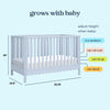 DaVinci Sammy Scallop 4-in-1  Convertible Crib