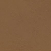 M26834GCLB,Babyletto,babyletto x GATHRE Capsule Bassinet in Camel