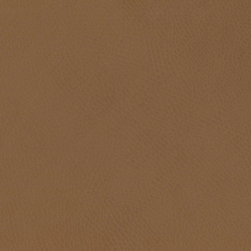 M26834GCLB,Babyletto,babyletto x GATHRE Capsule Bassinet in Camel