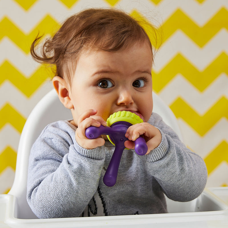 B.Box Silicone Fresh Food Feeder | Passion Splash