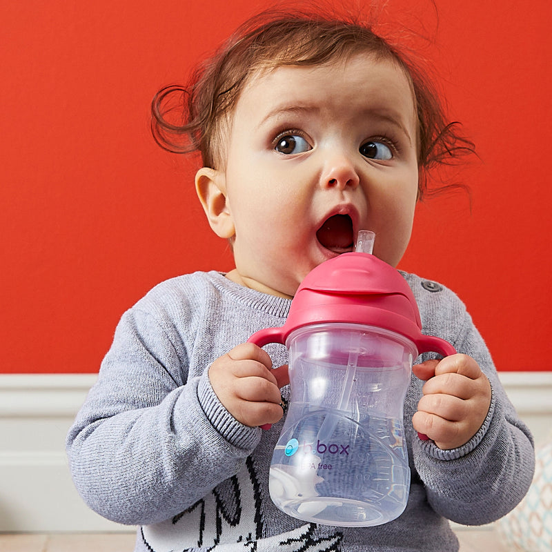B.Box Sippy Cup | Raspberry