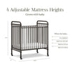 Namesake Abigail 3-in-1 Convertible Mini Crib