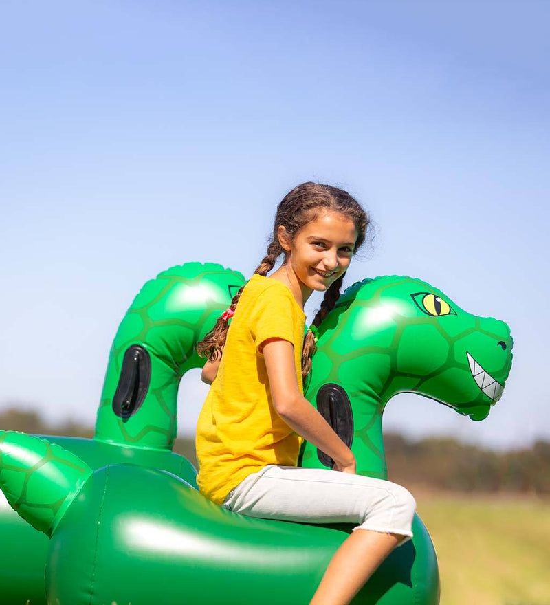 Dinosaur Bouncer Shop Inflatable bouncer