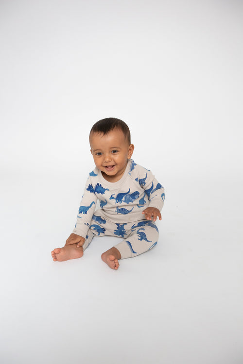 Angel Dear Dino French Terry Raglan Sweatshirt + Jogger Set