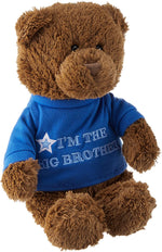 Gund Big Brother Bear, 12inches