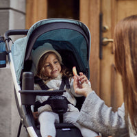 Thule Spring Stroller