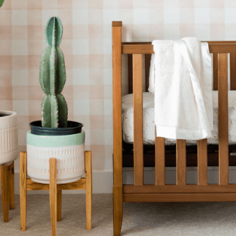 Saranoni Ivory Lush Satin Border Receiving Blanket